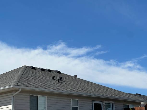 Best Solar Panel Roofing Installation  in Millcreek, UT